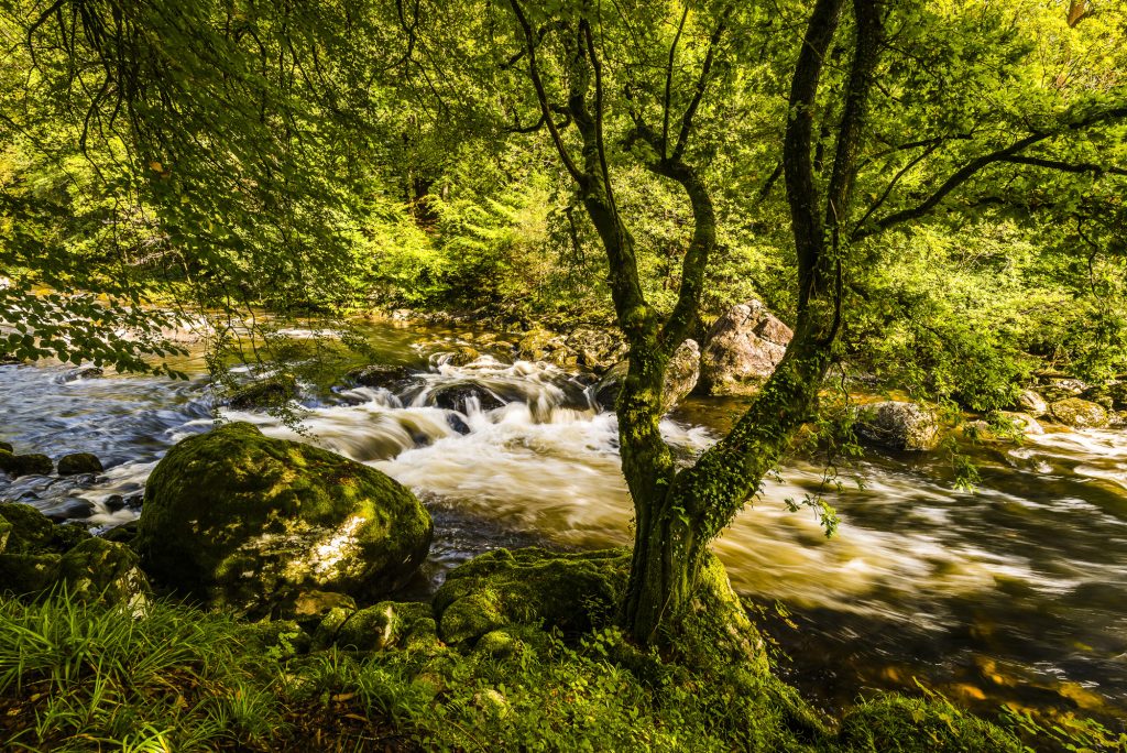 Autumn river and falls near Miner's Bridge at Betws-y-Coed, Snowdonia, Wales