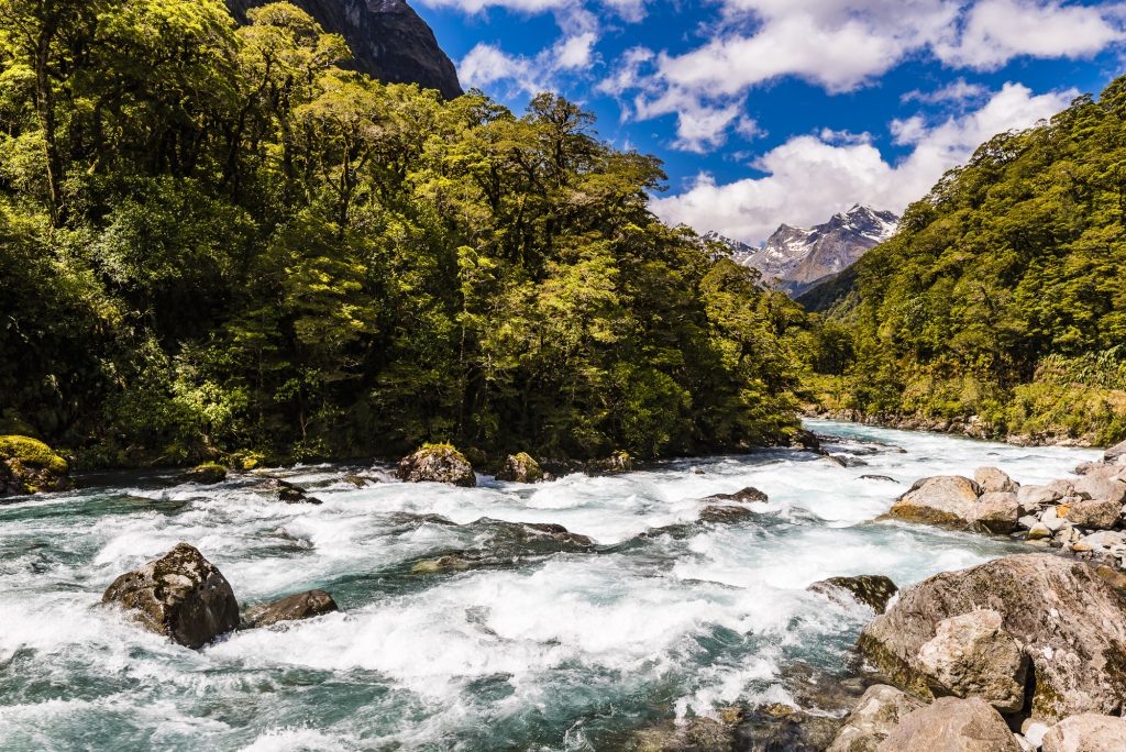 River and waterfalls at Falls Creek in Southland, South Island, New Zealand
