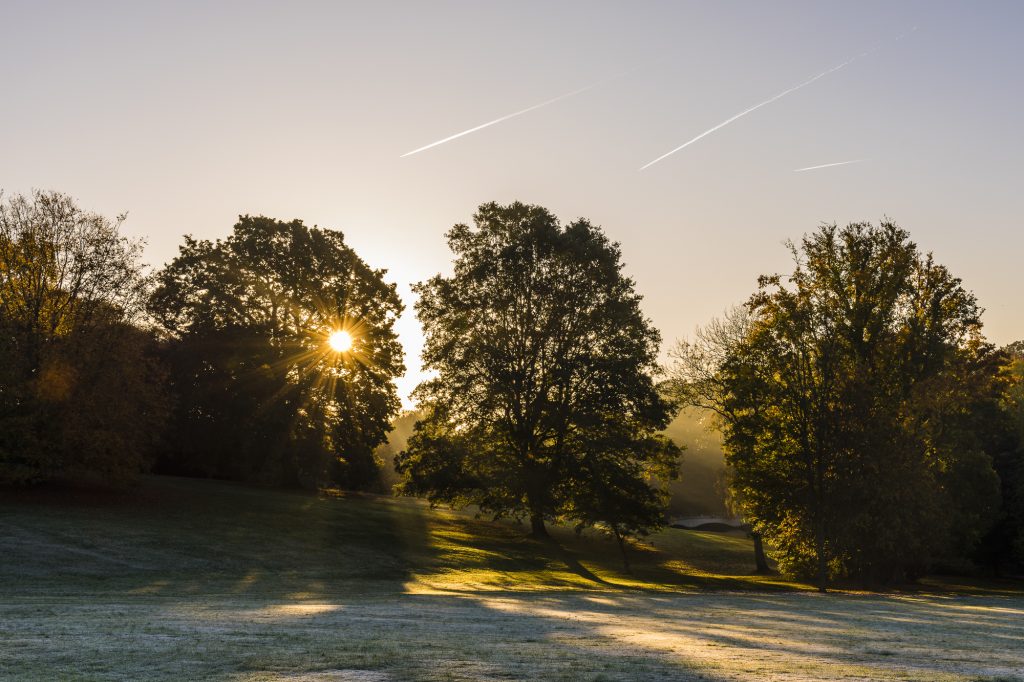 Frosty autumn morning and sunlight through the trees on Hampstead Heath, London