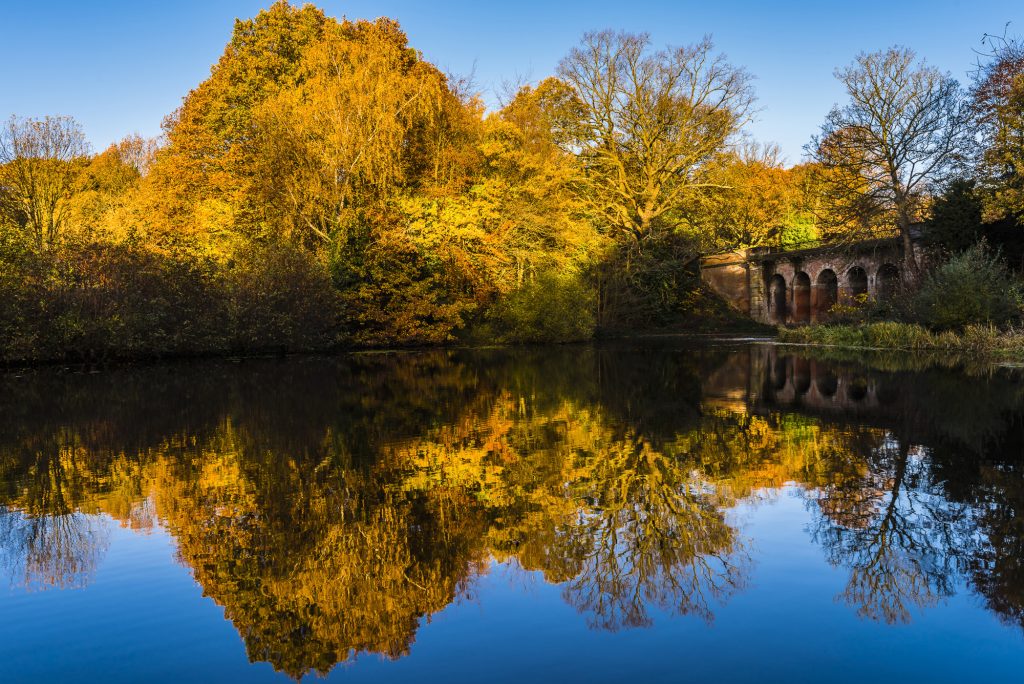 Reflections on the Viaduct Pond on an early morning in autumn at Hampstead Heath, London