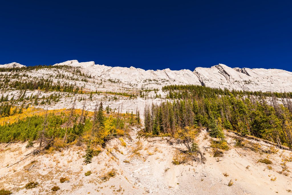 Autumn on the slopes at Medicine Lake in the Rocky Mountains near Jasper, Alberta, Canada