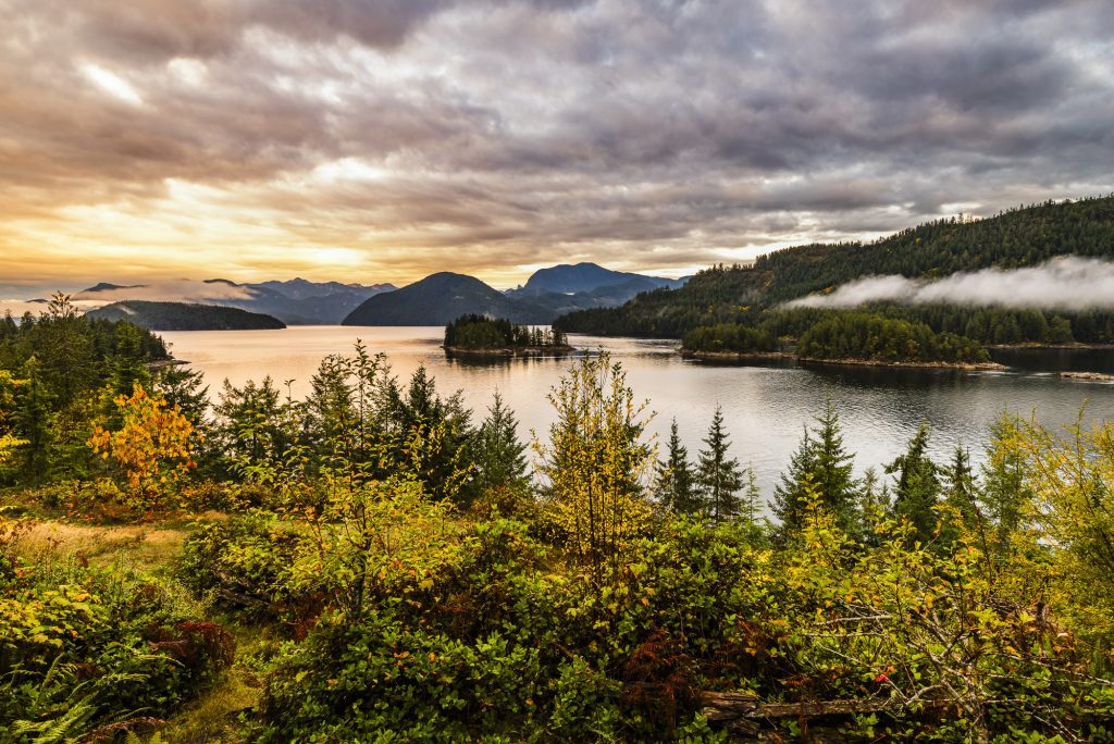 Autumn sunrise and low cloud over the Skookumchuck Narrows, near Egmont, British Columbia, Canada
