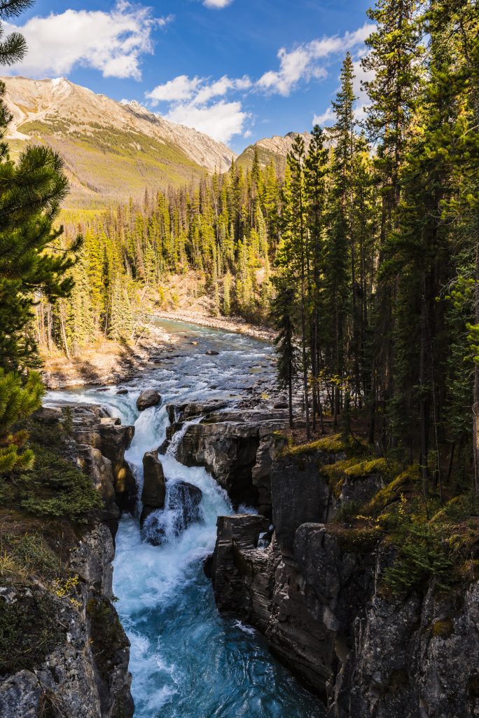 Autumn at Sunwapta Falls in the Rocky Mountains, near Jasper on the Icefields Parkway, Alberta, Canada
