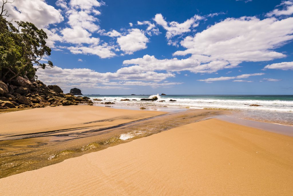 Waves and sea at Whiritoa Beach in Coromandel, Waikato, North Island, New Zealand