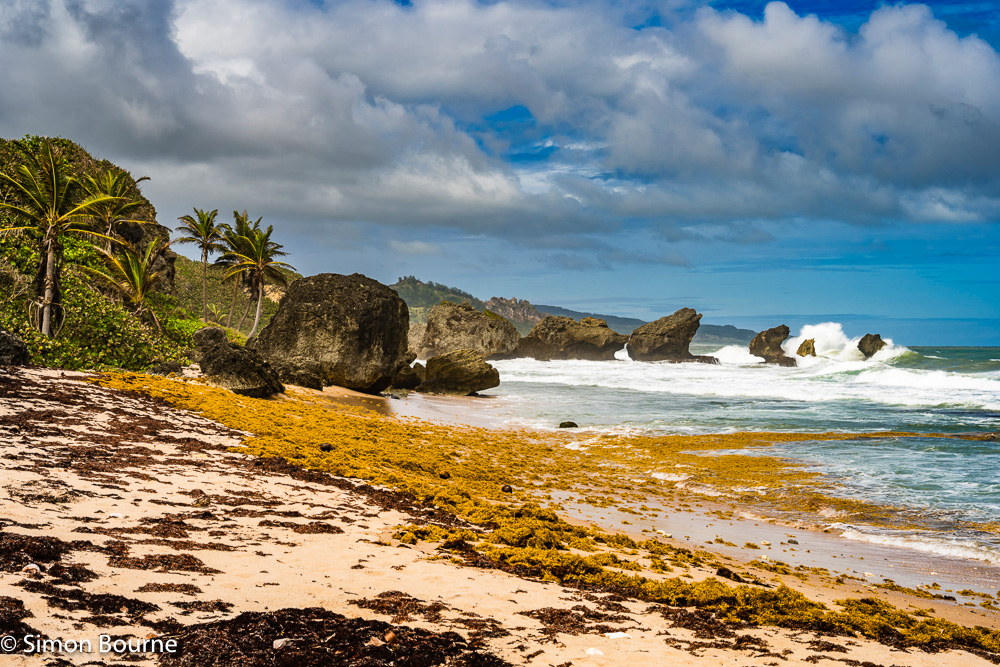 Atlantic Ocean surf and waves on the limestone boulders at the beach in Bathsheba on the windward side of the tropical Caribbean island of Barbados