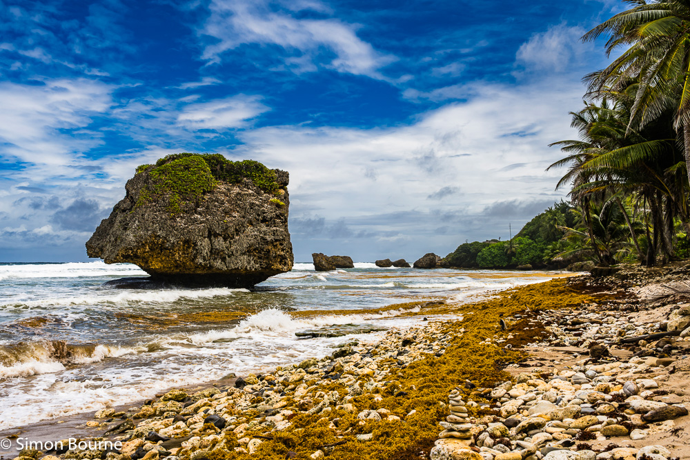 Atlantic Ocean surf and waves on the limestone boulders at the beach in Bathsheba on the windward side of the tropical Caribbean island of Barbados