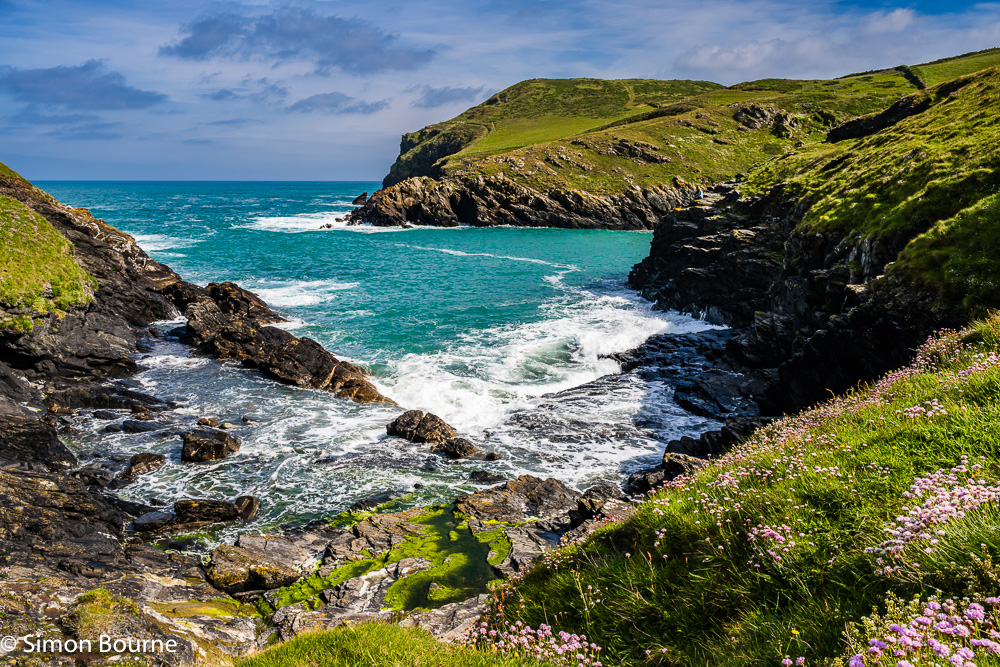 Spring flowers on the cliffs and surf in the sea at Port Quin harbour, Cornwall