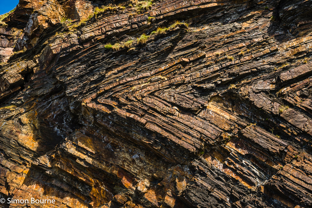 Close-up detail of the spectacular recumbent chevron folds in the sandstones & shales at Millook Haven beach, Cornwall